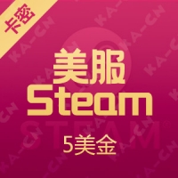 美服 Steam平台充值卡 5美金