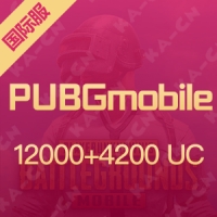 PUBGmobile 刺激战场国际服 12000+4200UC 兑换码